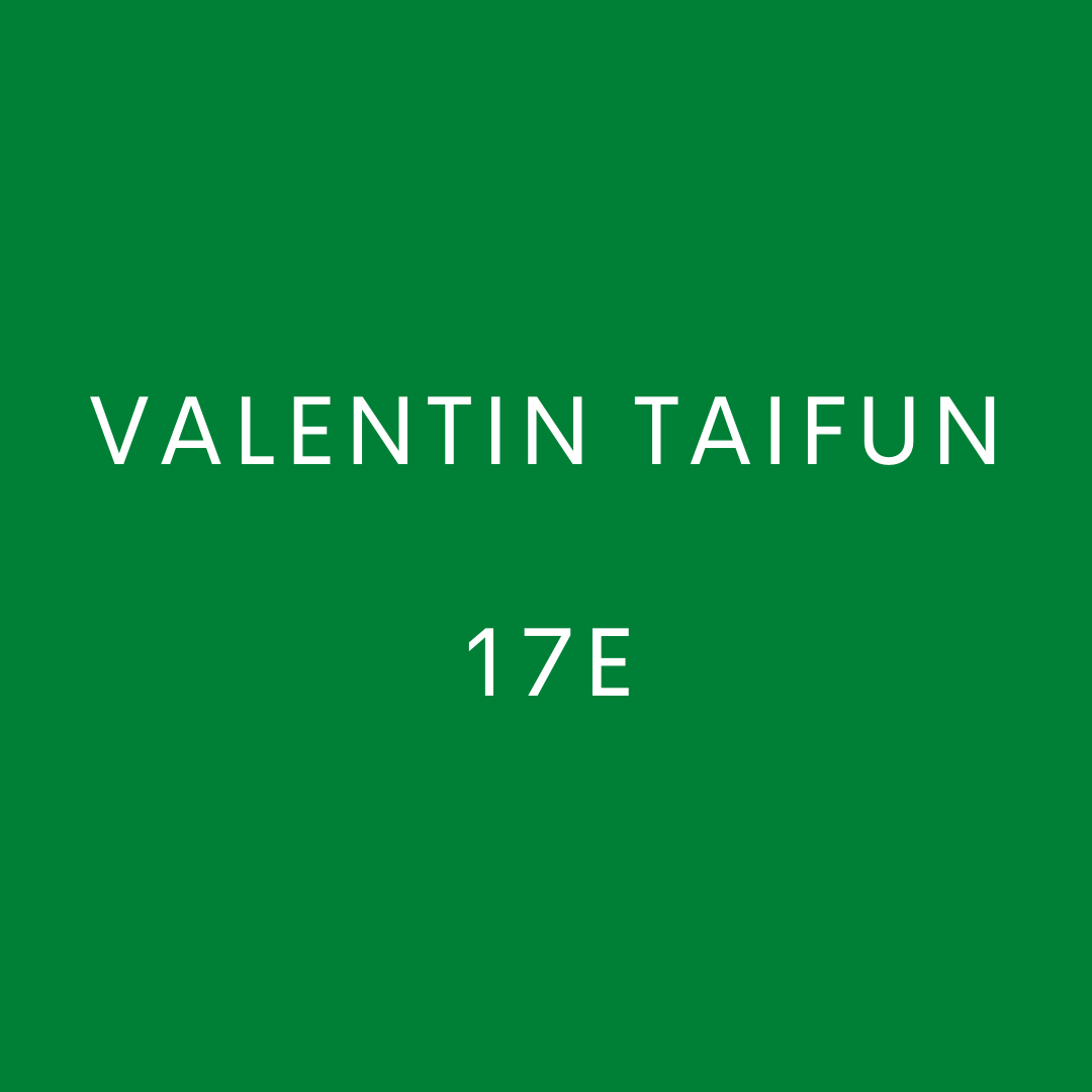 Valentin Taifun 17E